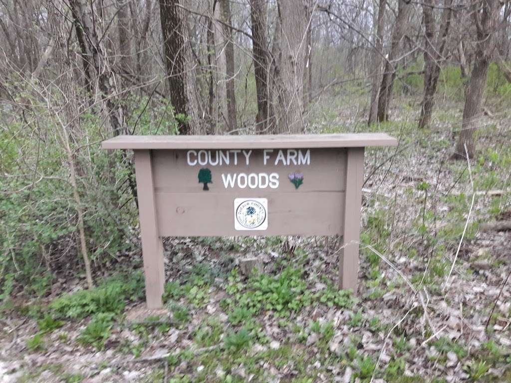 County Farm Woods | DeKalb, IL 60115, USA