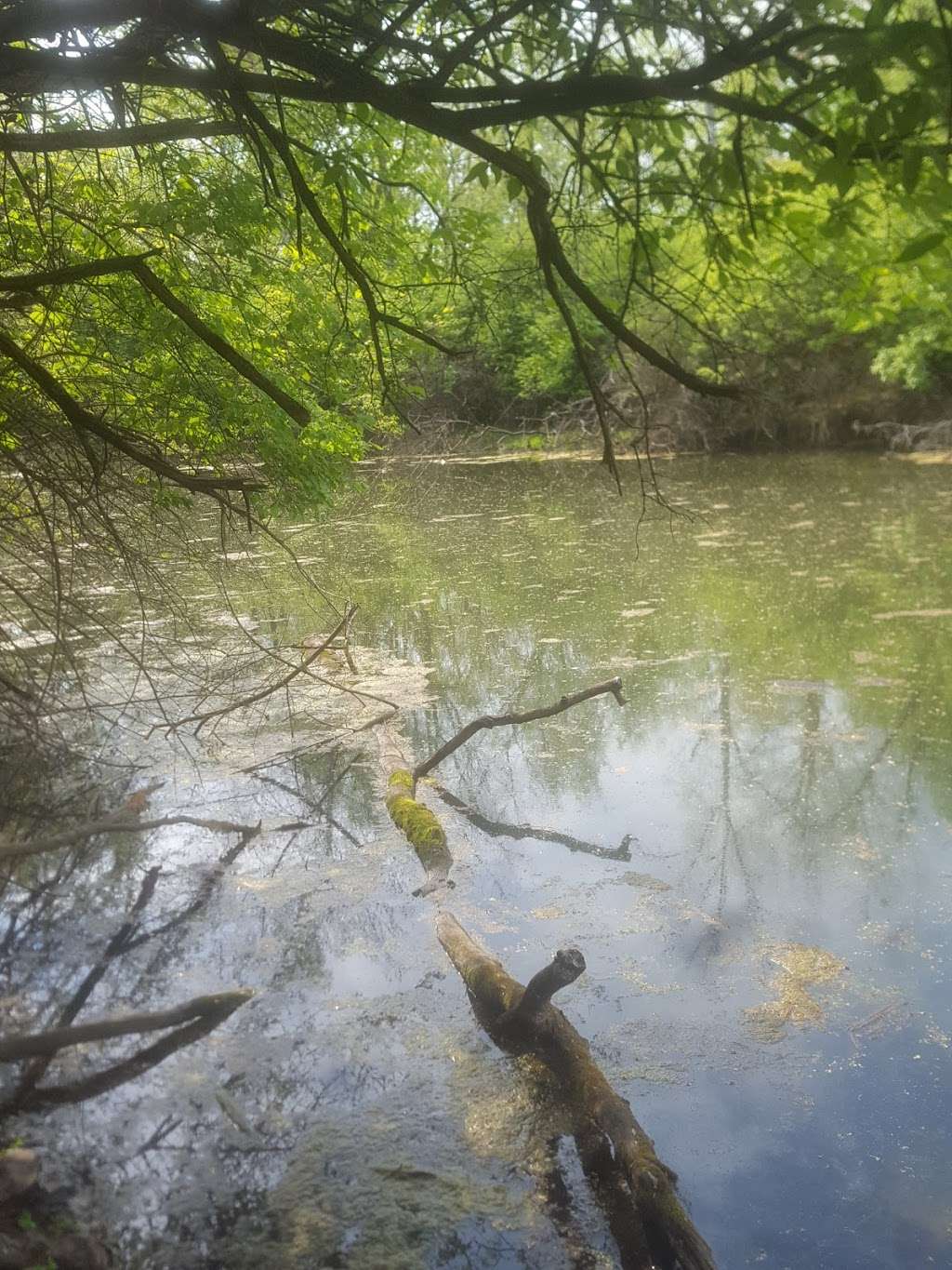 Fall Creek Parkway Preserve | 5770 E Fall Creek Pkwy N Dr, Indianapolis, IN 46220, USA