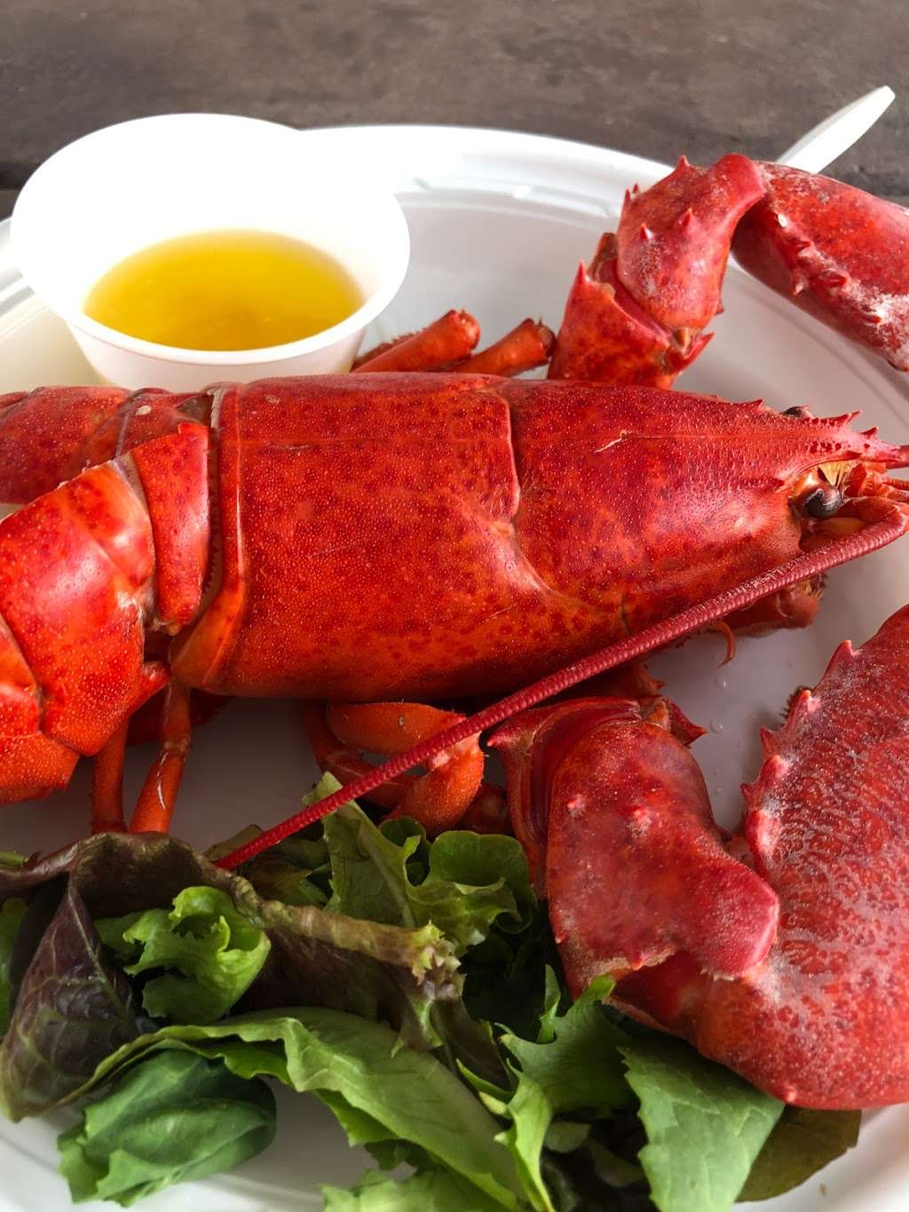 Crabby Amys, | 2880 Ocean Ave, Seaford, NY 11783, USA | Phone: (516) 783-2554