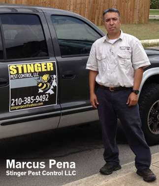 Stinger Pest Control LLC | 10806 Alpine Shore, San Antonio, TX 78254, USA | Phone: (210) 385-9492