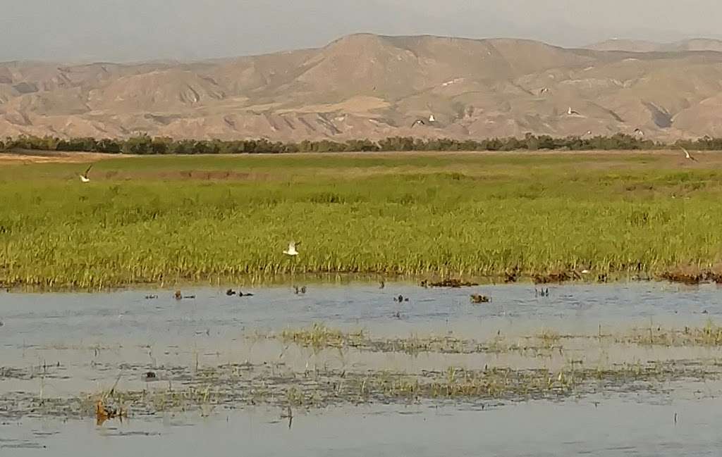 San Jacinto Wildlife Area | W Contour Rd, Nuevo, CA 92567, USA