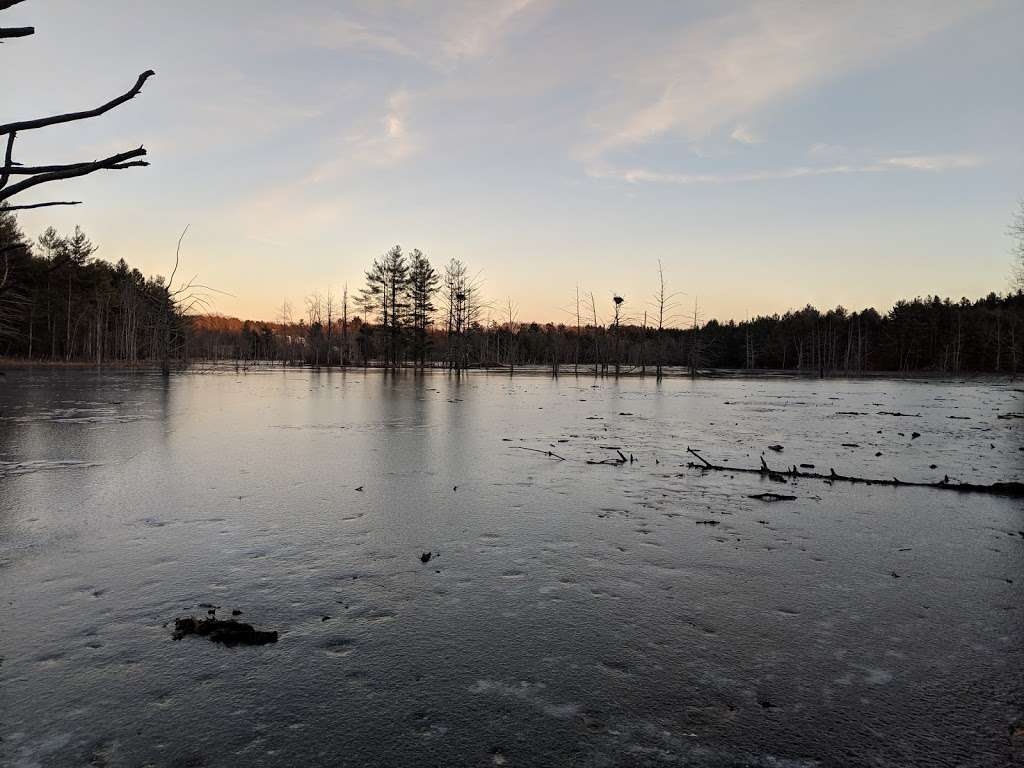 Bass Pond (Brox Property) | Dunstable, MA 01827, USA