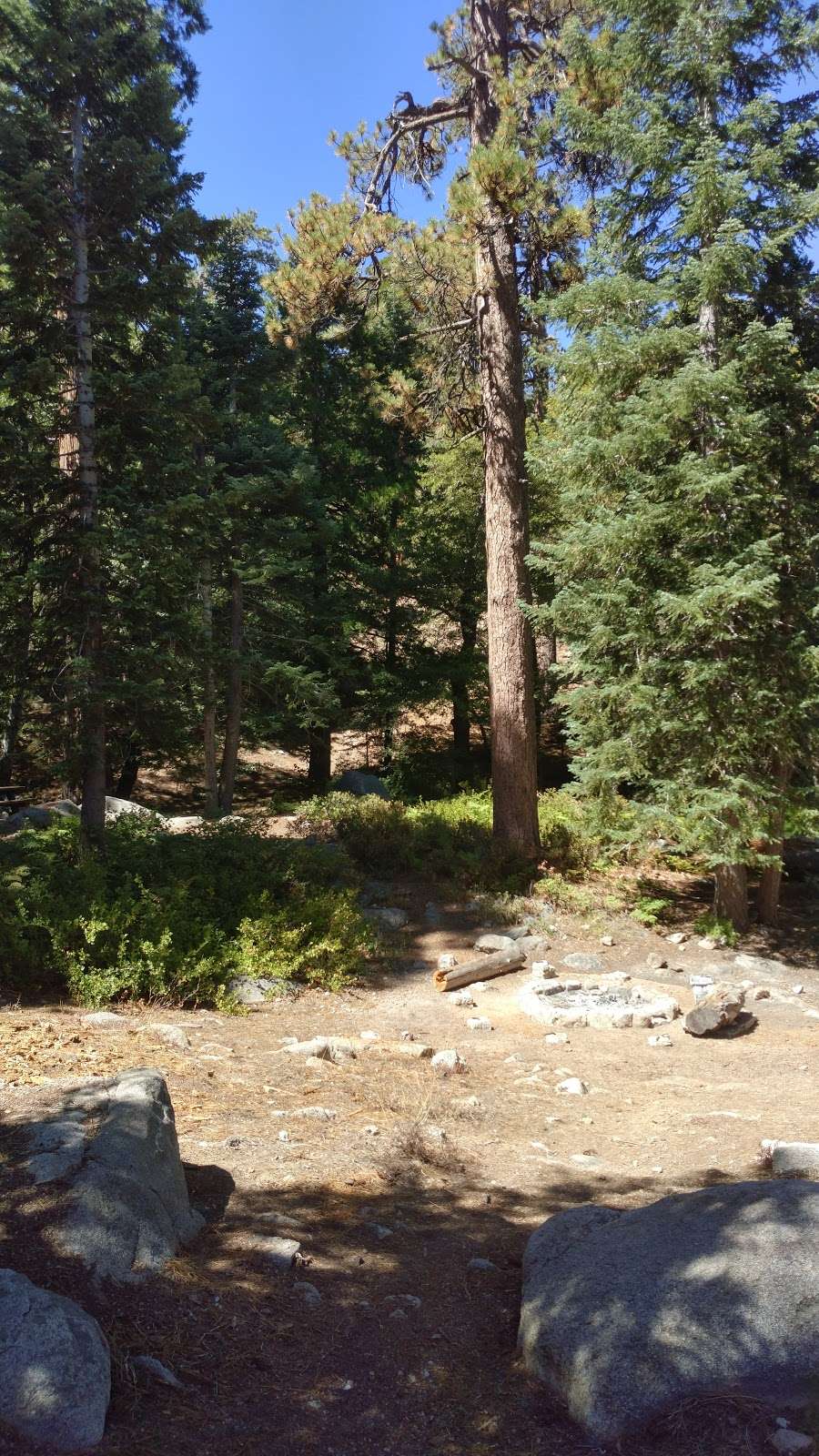 Buckhorn Campground | California 93553