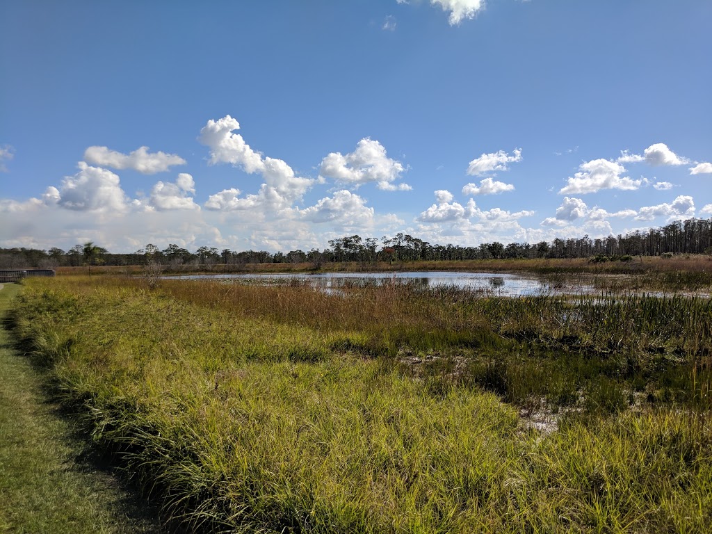 Disney Wilderness Preserve | 2700 Scrub Jay Trail, Poinciana, FL 34759, USA | Phone: (407) 935-0002