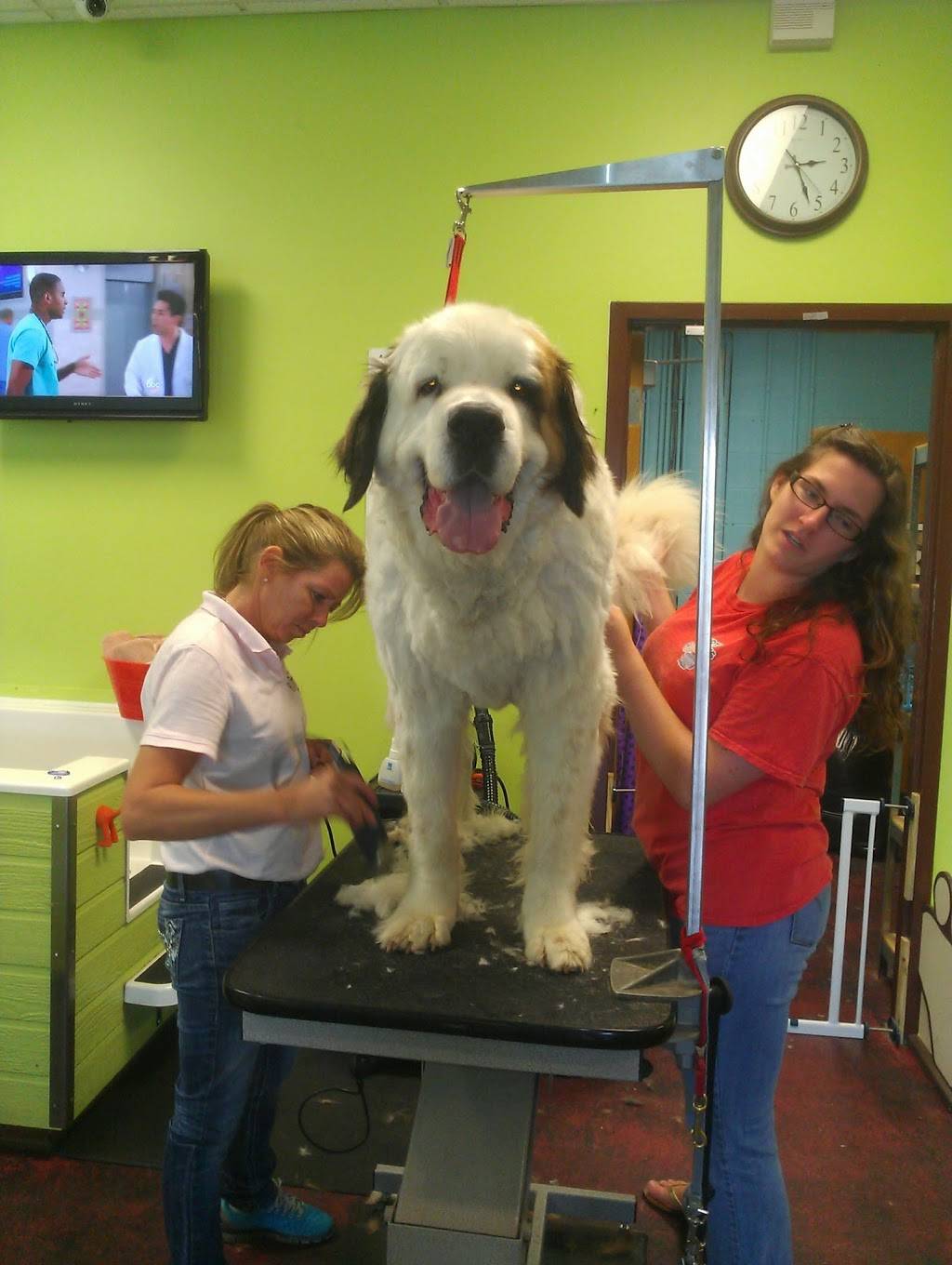 Dirty Dogs Spa | 929 Heritage Lake Rd, Wake Forest, NC 27587, USA | Phone: (919) 453-0765