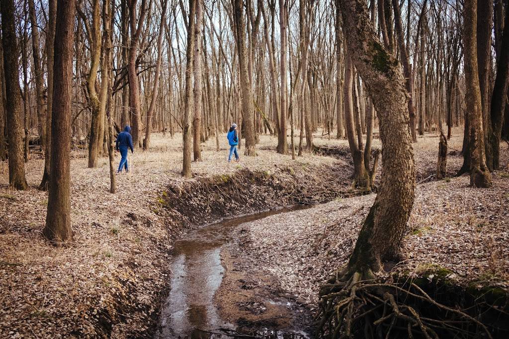 Merwin Nature Preserve | 25777 N 1925 East Rd, Lexington, IL 61753, USA