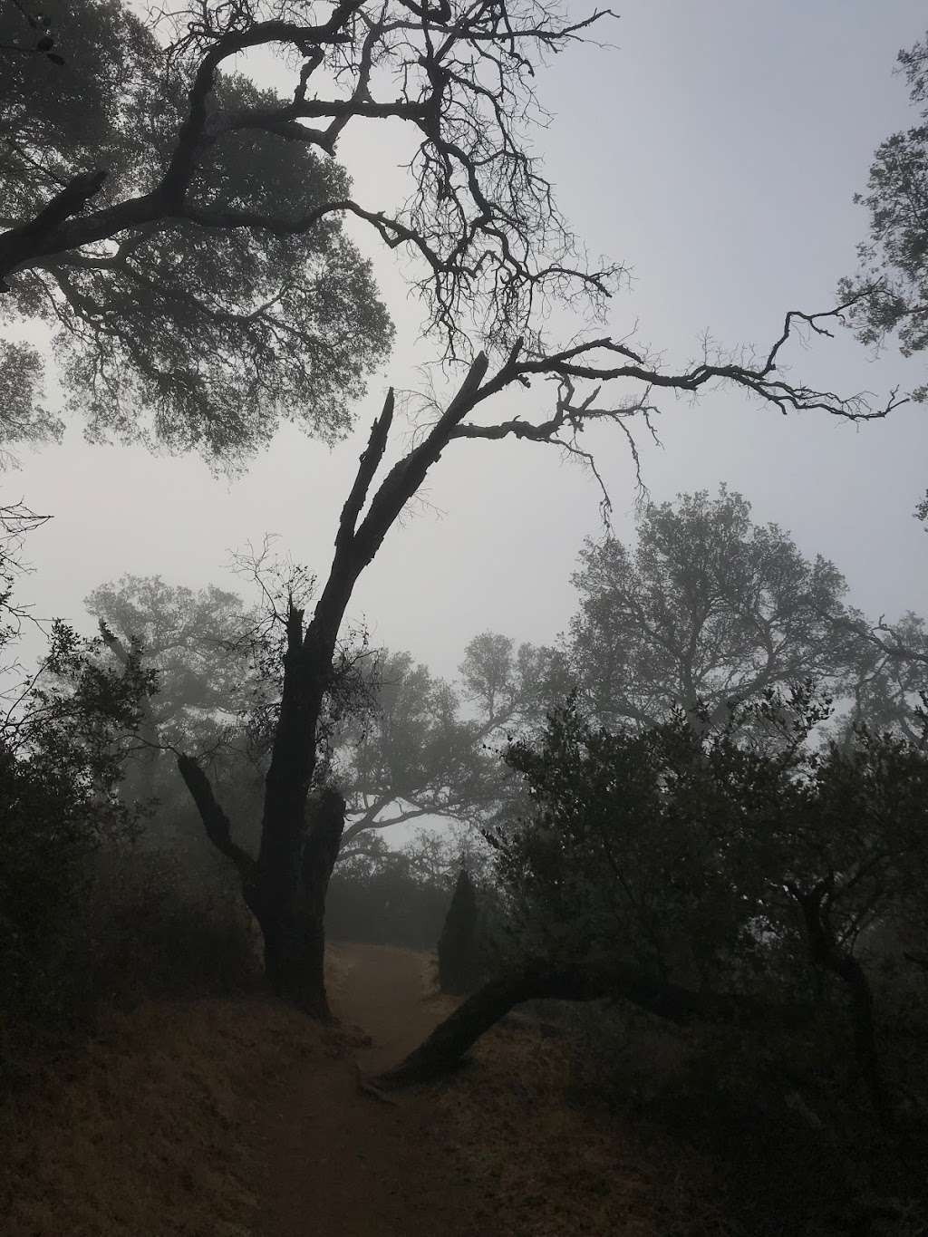 PG & E 트레일 | PG & Electric Trail, Cupertino, CA 95014, USA