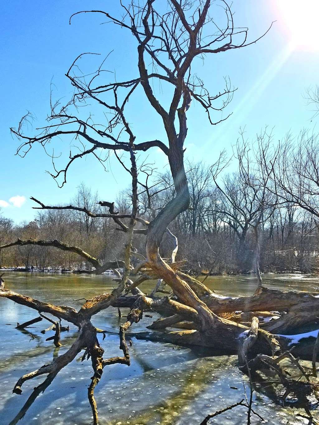 Mallard Lake | 6401-6499 Nature Center Dr, Franklin, WI 53132, USA