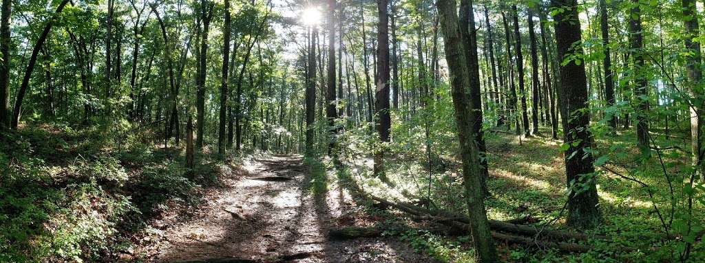 Carmel Woods Trail | Andover, MA 01810, USA