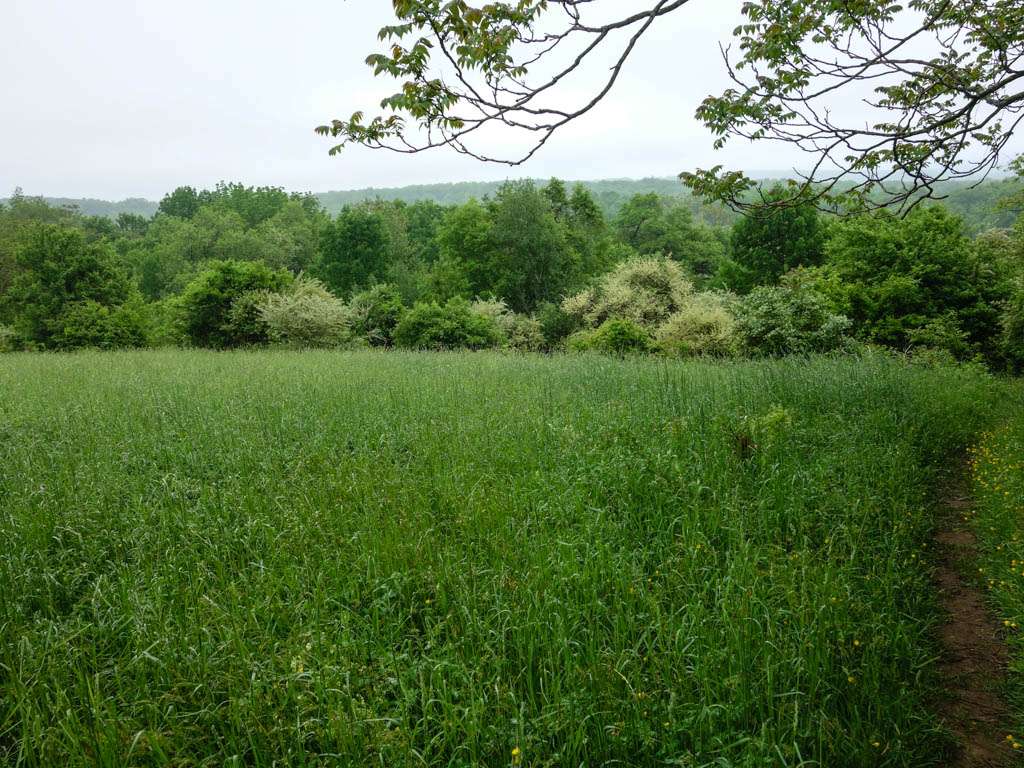 Appalachian Trail | Courtright Rd, Wantage, NJ 07461, USA