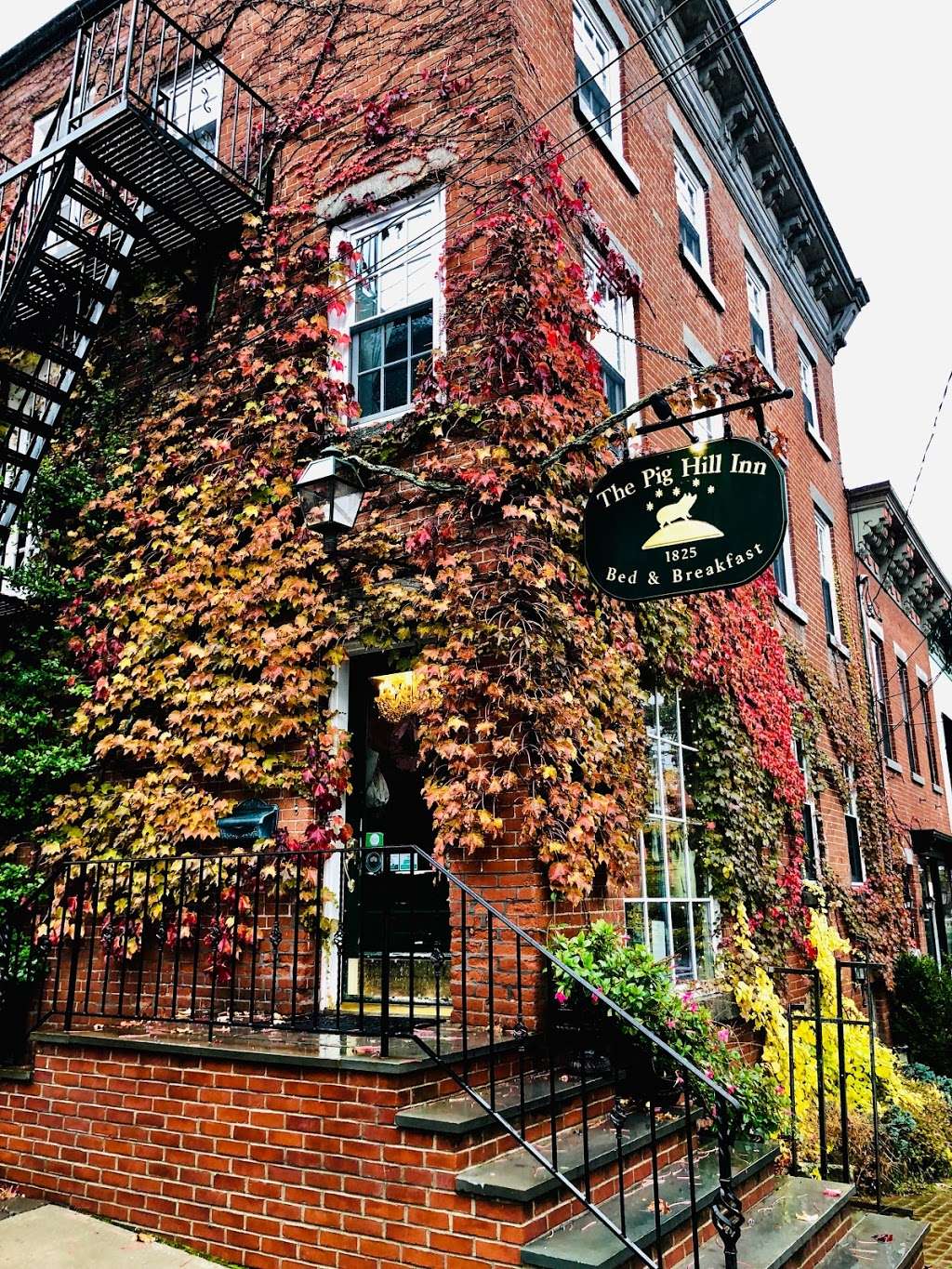 Pig Hill | 73 Main St, Cold Spring, NY 10516 | Phone: (845) 265-9247