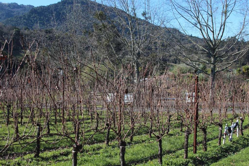 Sonoma Valley Wine Trolley | 21707 8th St E Suite B, Sonoma, CA 95476, USA | Phone: (707) 938-2600 Sonoma Valley Wine Trolley | 21707 8th St E Suite B, Sonoma, CA 95476, USA | Phone: (707) 938-2600