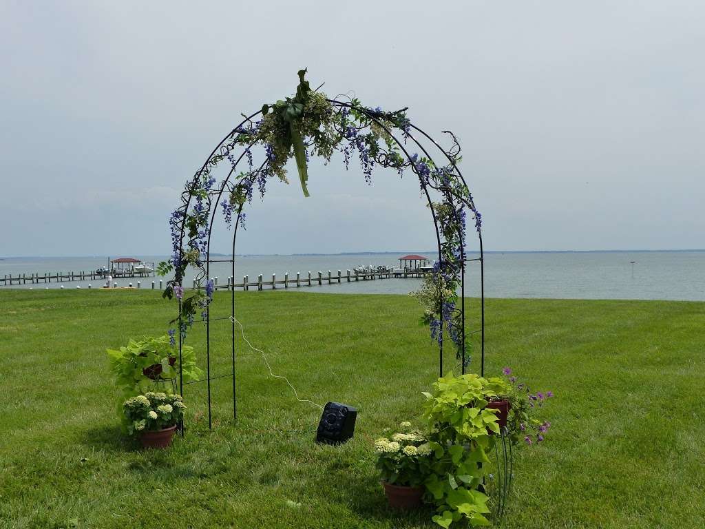 Island Flowers | 1630 Postal Rd, Chester, MD 21619, USA | Phone: (410) 604-2115