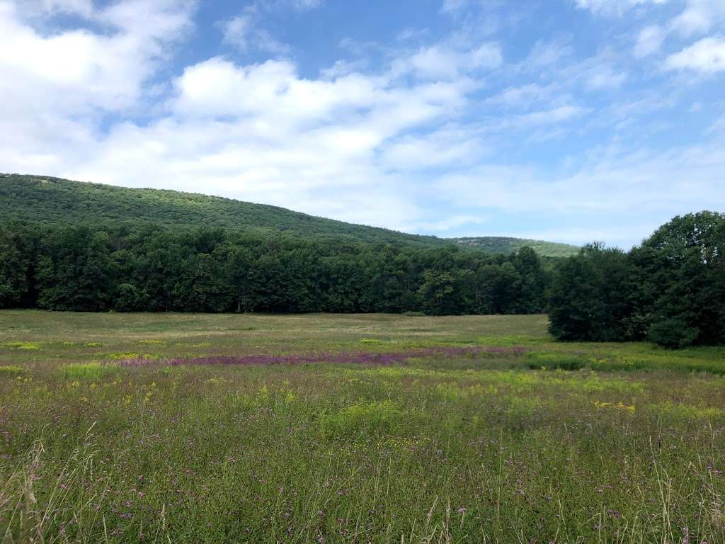 Schunemunk Mountain Trail Head | 17 Taylor Rd, New Windsor, NY 12553, USA | Phone: (845) 351-5907