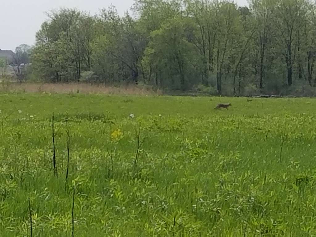 Orland Grassland | 167th Street & S La Grange Road, Tinley Park, IL 60487, USA | Phone: (708) 220-9596