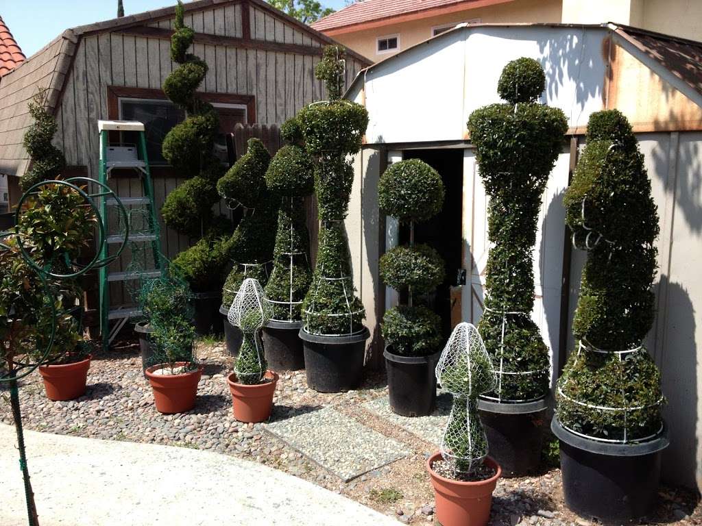 Chris Topiary | 9004 Copley Ln, Riverside, CA 92503 | Phone: (951) 352-3526