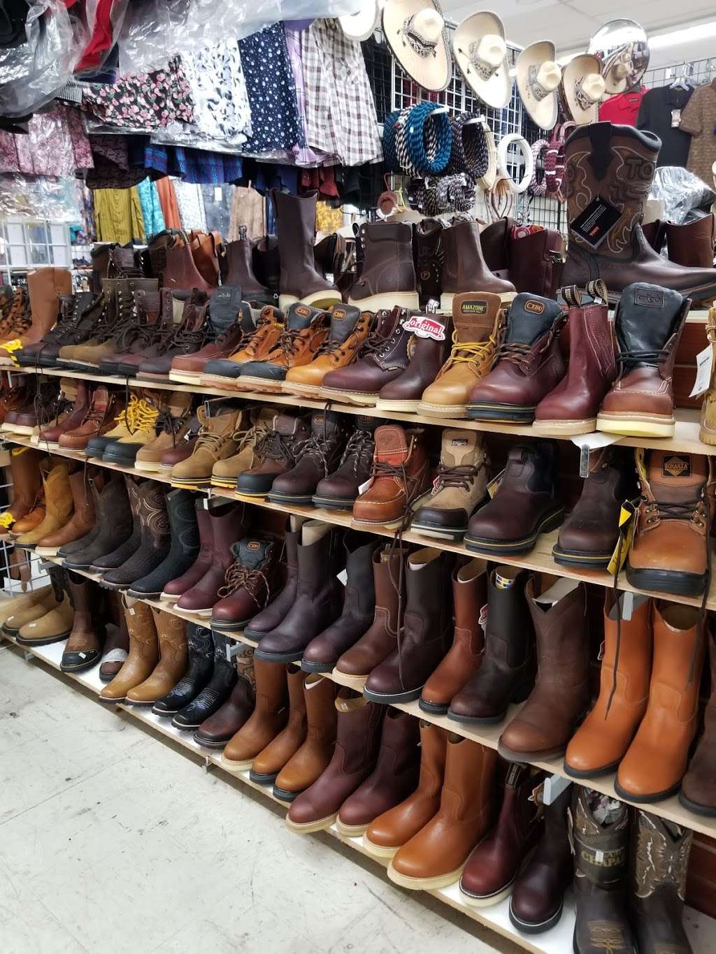 Wild Boots | 1560 N Eastern Ave, Las Vegas, NV 89101, USA | Phone: (725) 200-9743