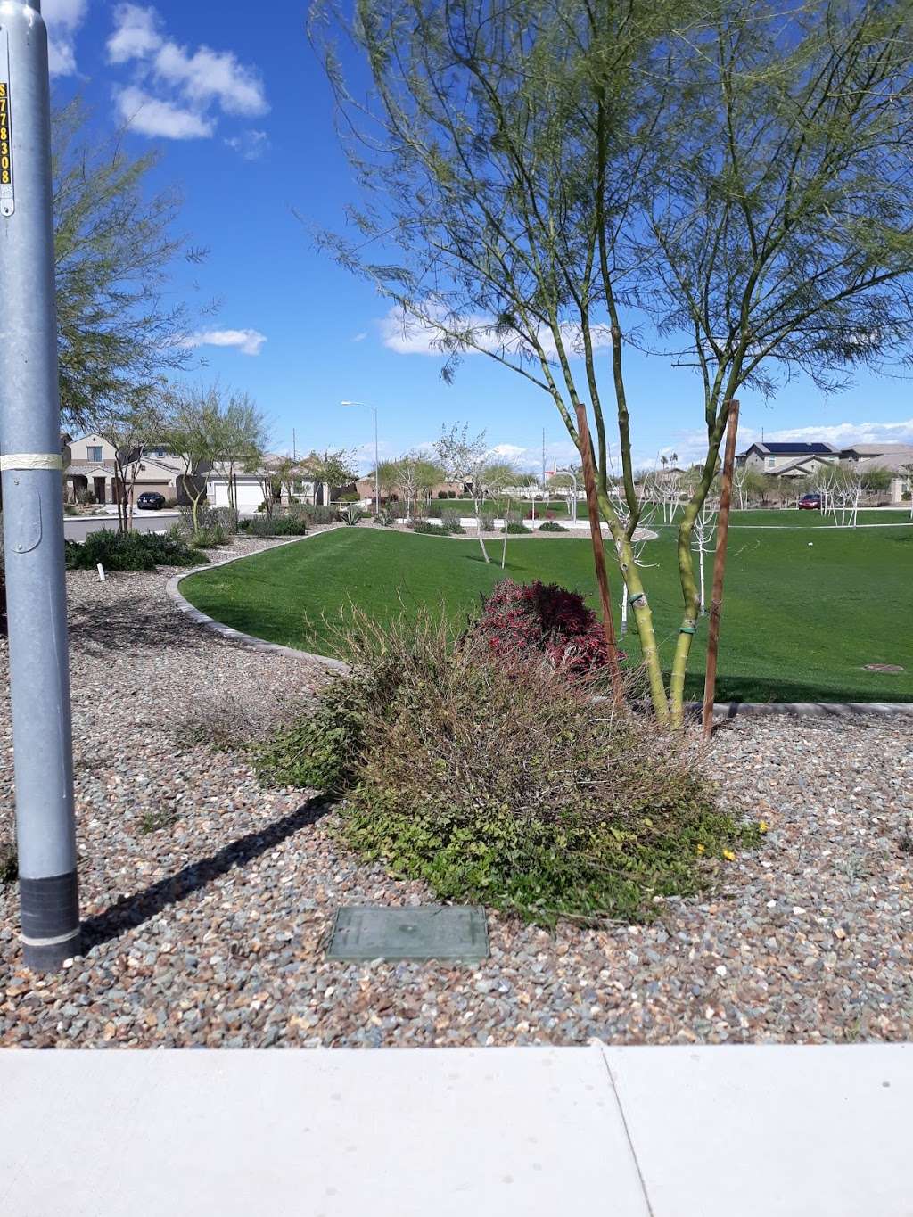 Three Olive Park HOA Park | Peoria, AZ 85345