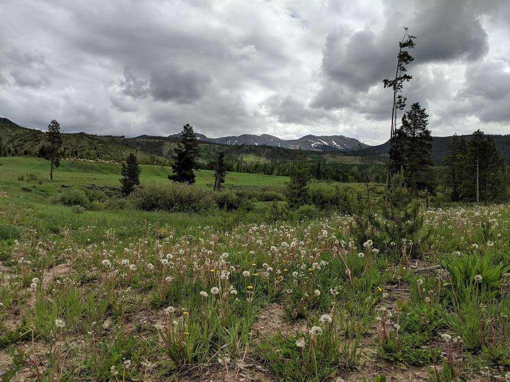 Devils Thumb Trailhead | Unnamed Road, Nederland, CO 80466, USA