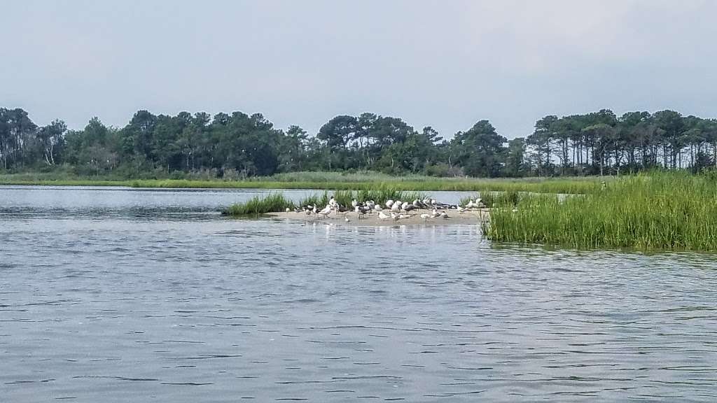 Burton Island Trailhead | 39401 Inlet Rd, Rehoboth Beach, DE 19971, USA