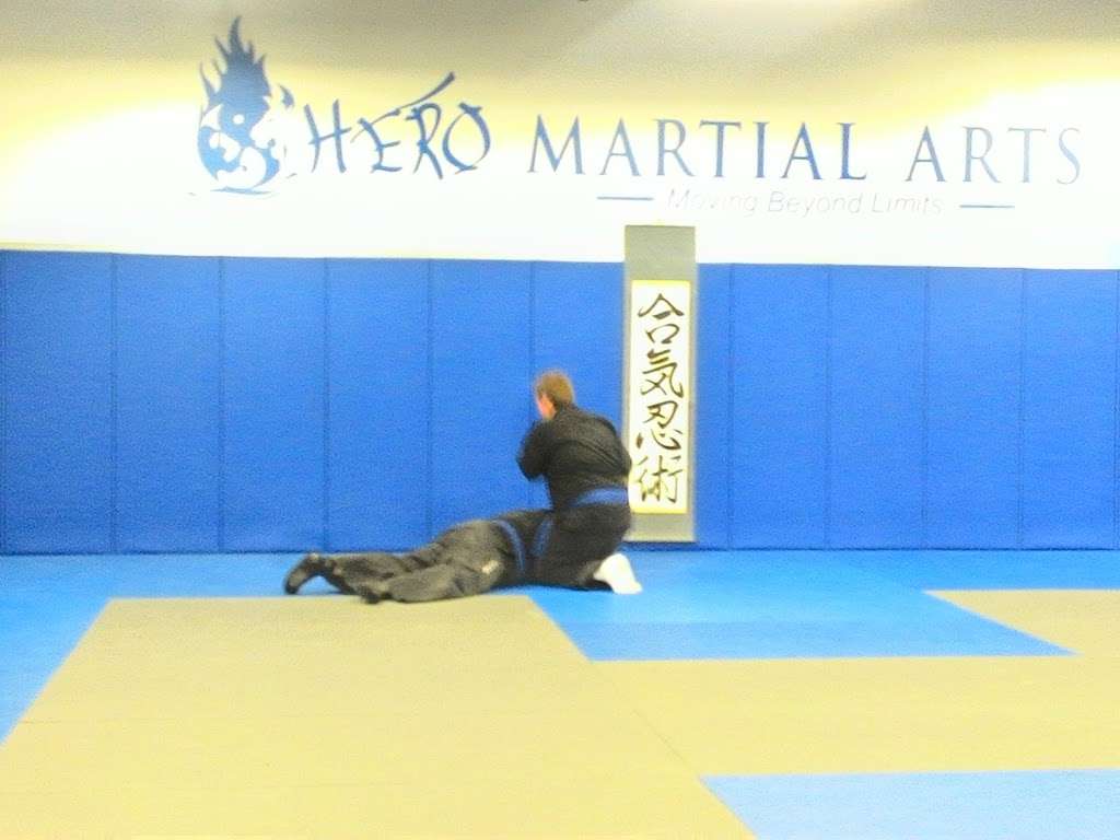 Hero Martial Arts | 2179 Sycamore Rd #102, DeKalb, IL 60115, USA | Phone: (815) 517-0411