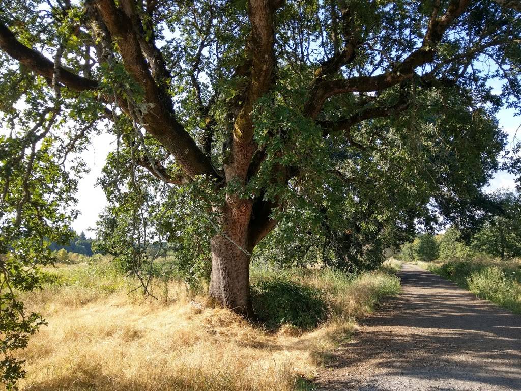 Tualatin River National Wildlife Refuge Visitor Center | 19255 SW Pacific Hwy, Sherwood, OR 97140, USA | Phone: (503) 625-5944