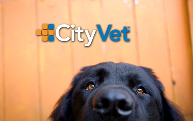 CityVet - Flower Mound | 1221 Flower Mound Rd, Flower Mound, TX 75028, USA | Phone: (972) 355-2124