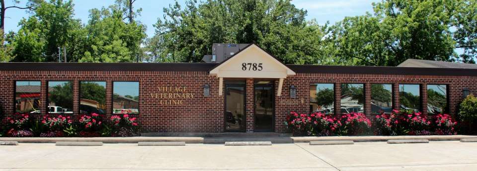 Village Veterinary Clinic | 8785 Gaylord Dr, Houston, TX 77024, USA | Phone: (713) 468-7955