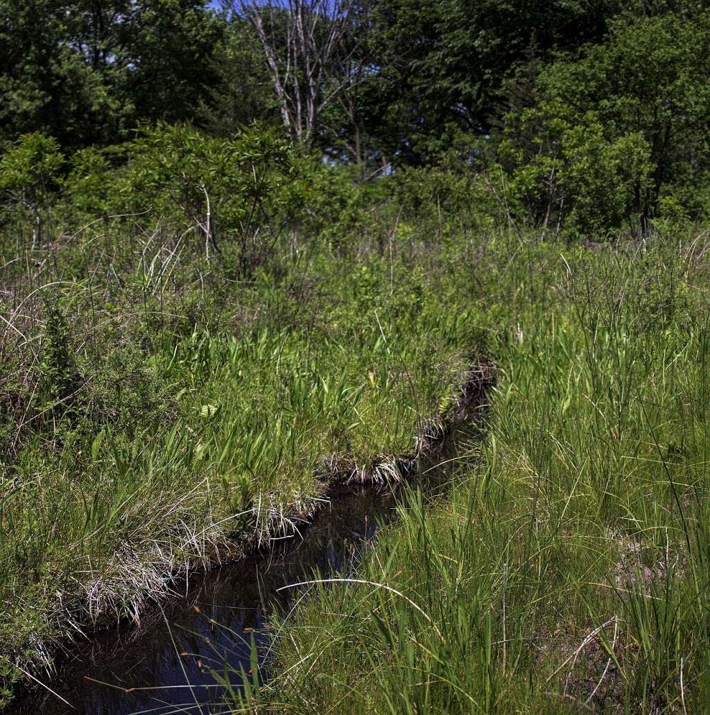 Ottawa Lake Fen State Natural Area | Dousman, WI 53118, USA | Phone: (608) 266-0394