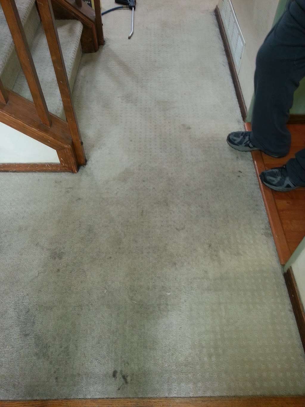 Carpet Cleaning Pro-Touch Professional LLC | 4500 19th St #50, Boulder, CO 80304 | Phone: (720) 338-8402