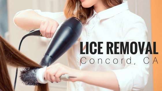 Comb It Out Lice Removal | 4375 Clayton Rd Suite J, Concord, CA 94521, USA | Phone: (925) 849-6496