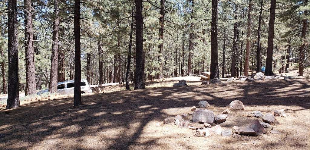 McGill Campground | Mc Gill Camp Rd, Frazier Park, CA 93225, USA | Phone: (805) 434-1996