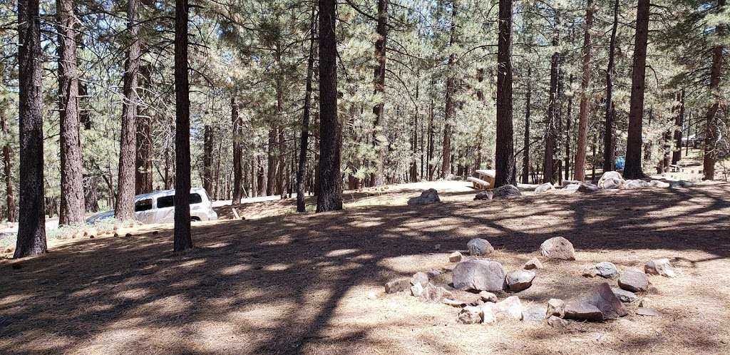 McGill Campground | Mc Gill Camp Rd, Frazier Park, CA 93225, USA | Phone: (805) 434-1996