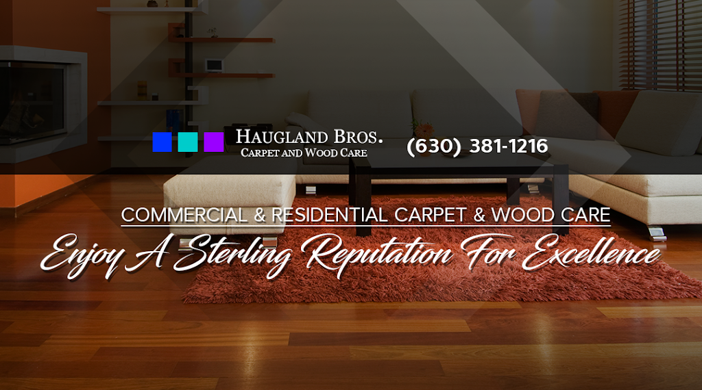 Haugland Brothers | 10S183 Schoger Dr #97, Naperville, IL 60564, USA | Phone: (630) 904-1260