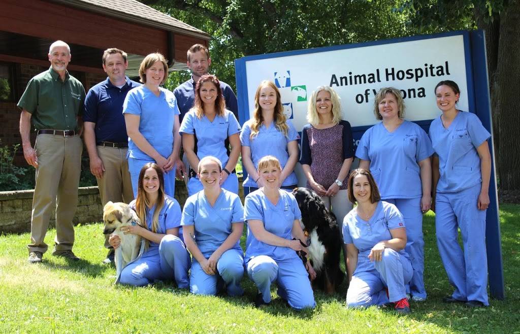 Animal Hospital of Verona | 203 W Verona Ave, Verona, WI 53593, USA | Phone: (608) 845-6700