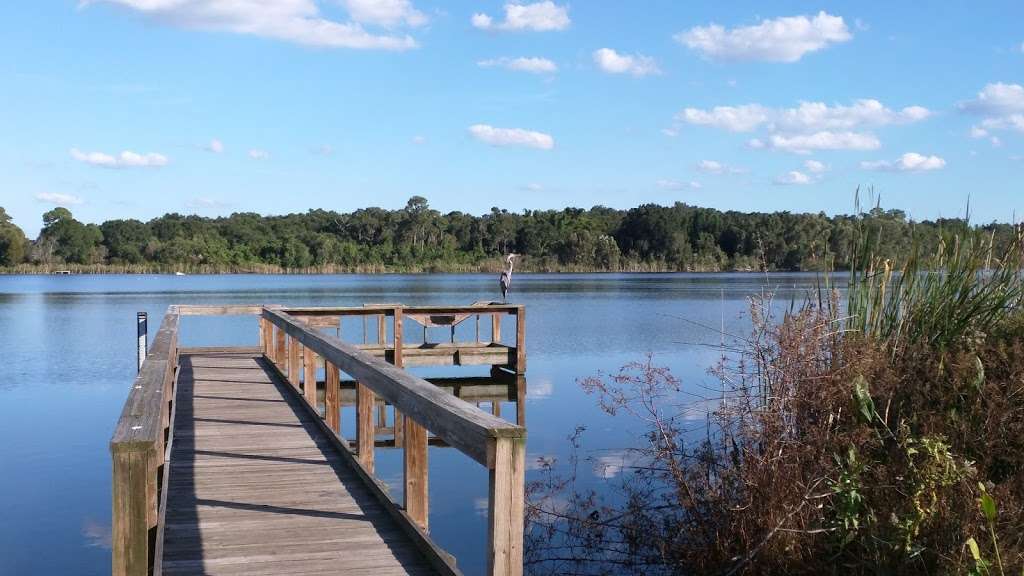 Lake Ned Park | 233 Lake Ned Rd, Winter Haven, FL 33884, USA