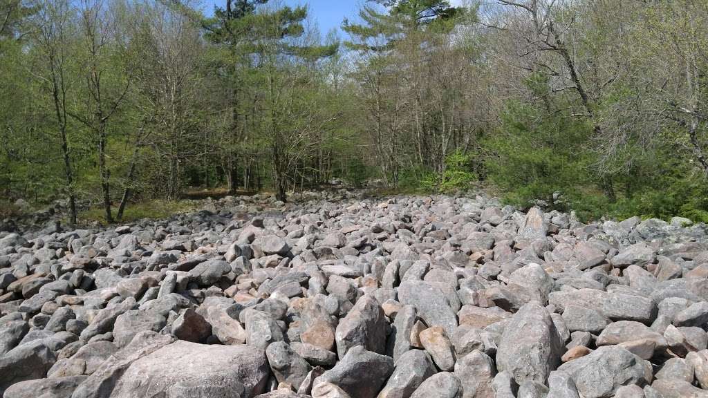 Hickory Run Boulder Field | Lake Harmony, PA 18624, USA | Phone: (888) 727-2757