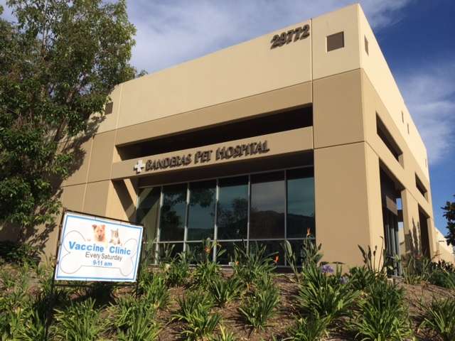 Banderas Pet Hospital & Boarding | 29772 Avenida De Las Banderas B, Rancho Santa Margarita, CA 92688, USA | Phone: (949) 766-4449