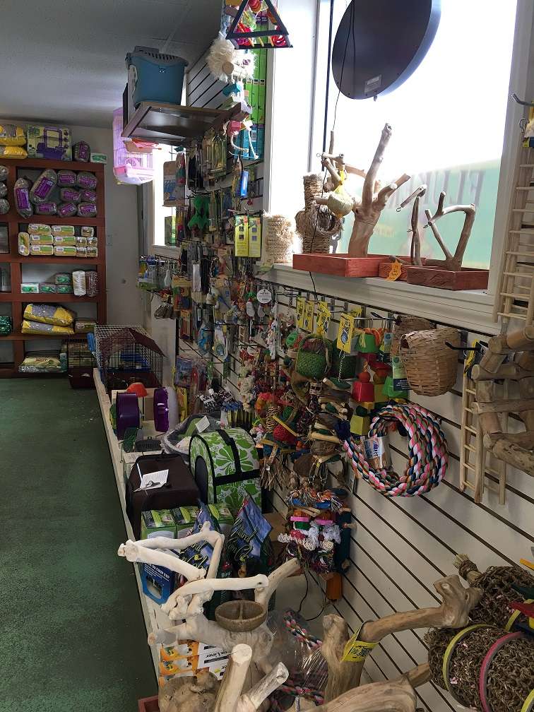 Pets World | 147 Bridge St, Weymouth, MA 02191 | Phone: (781) 331-0181