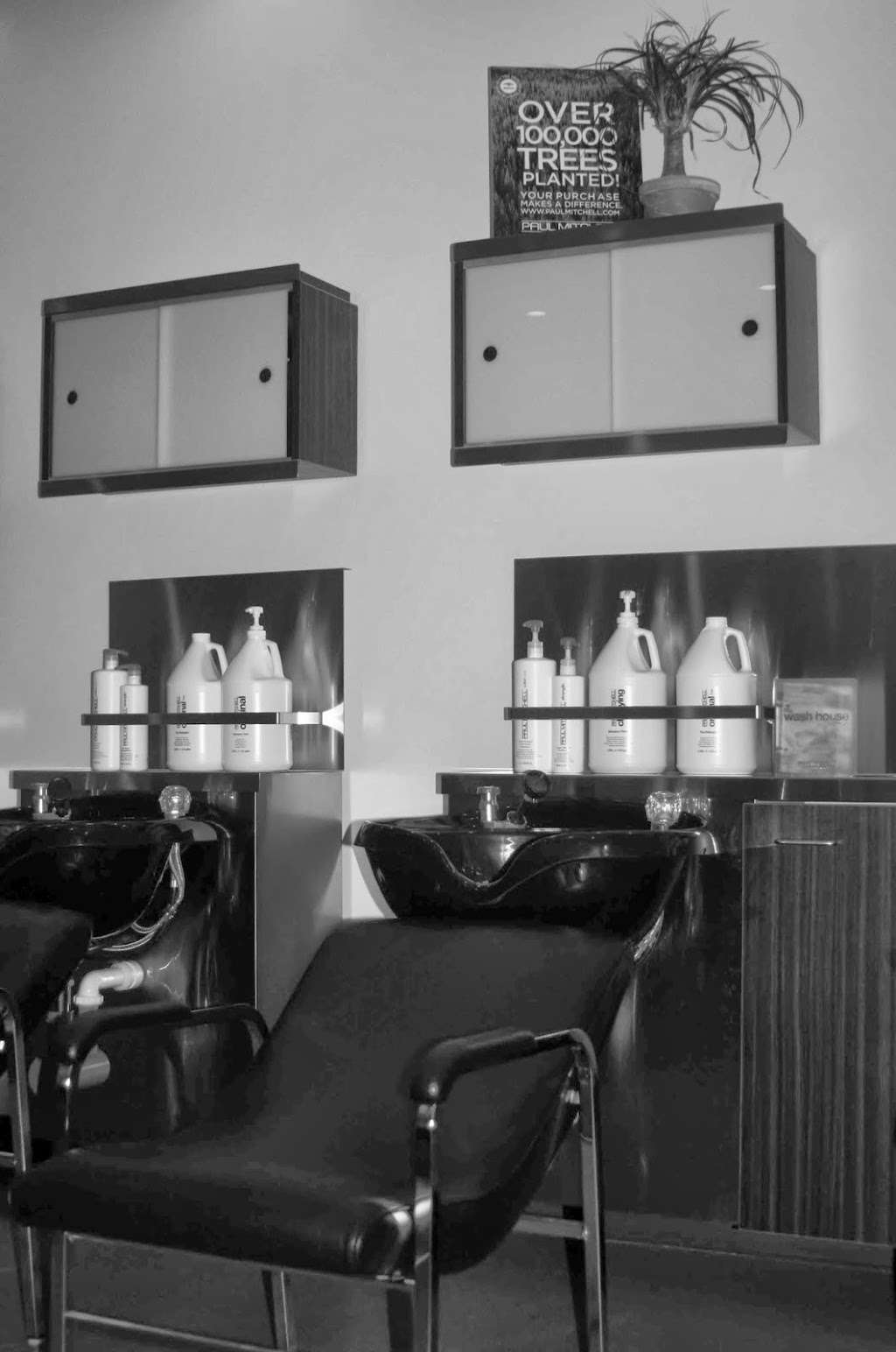 Paul Mitchell The School Bradley | 1600 IL-50, Bourbonnais, IL 60914, USA | Phone: (815) 932-5049