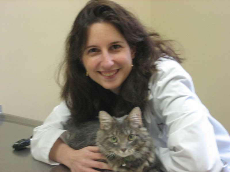 Jockey Hollow Veterinary Practice | 3 Jockey Hollow Rd, New Milford, NY 10959, USA | Phone: (845) 986-9900