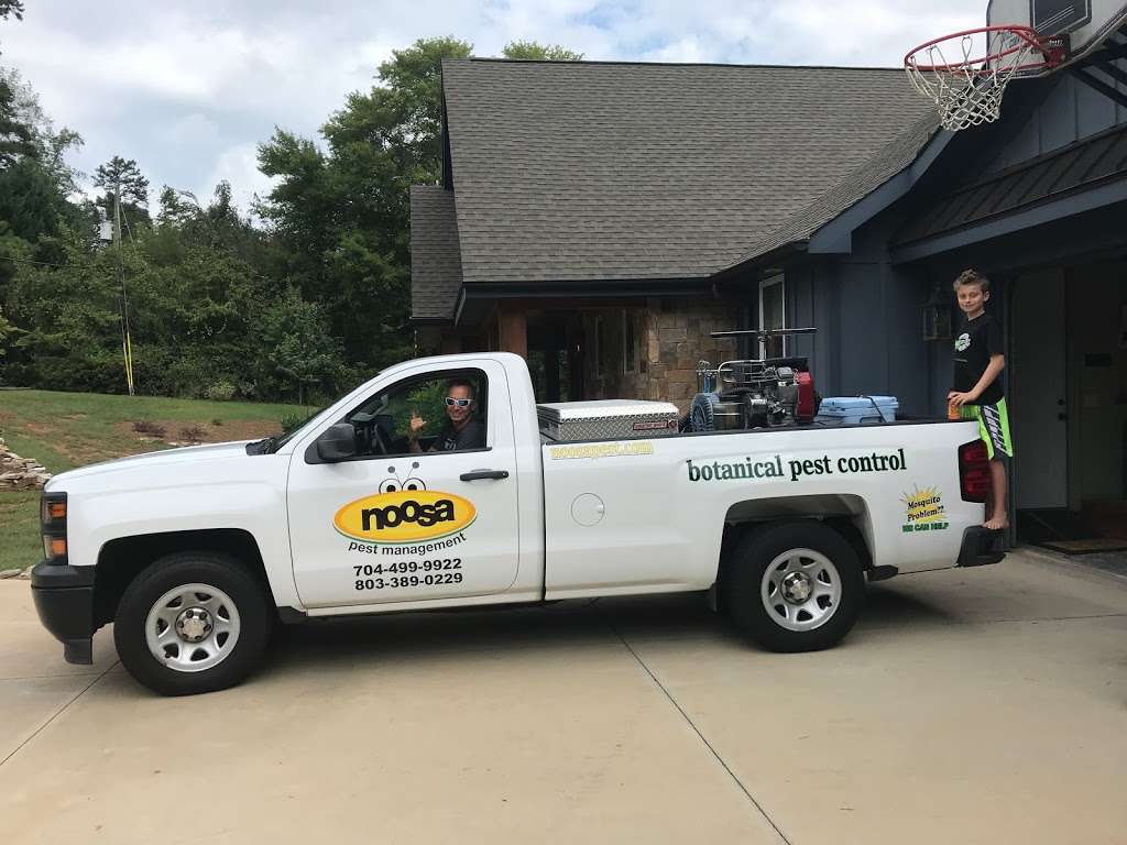 Noosa Pest Management LLC | 6916 Rea Croft Dr, Charlotte, NC 28226 | Phone: (704) 499-9922