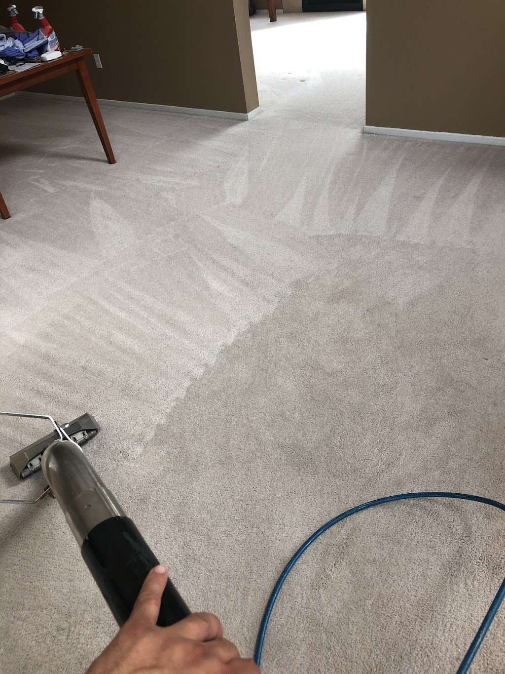 Next level carpet care | 1022 Nutmeg Dr, Oakley, CA 94561, USA | Phone: (925) 727-4304