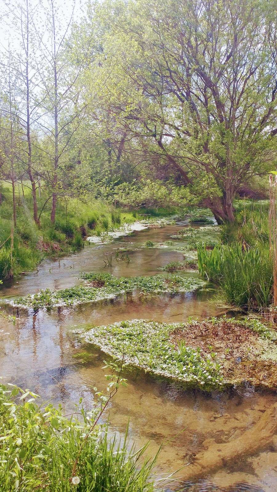 Cool Spring Nature Preserve | 1469 Lloyd Rd, Charles Town, WV 25414, USA | Phone: (681) 252-1387