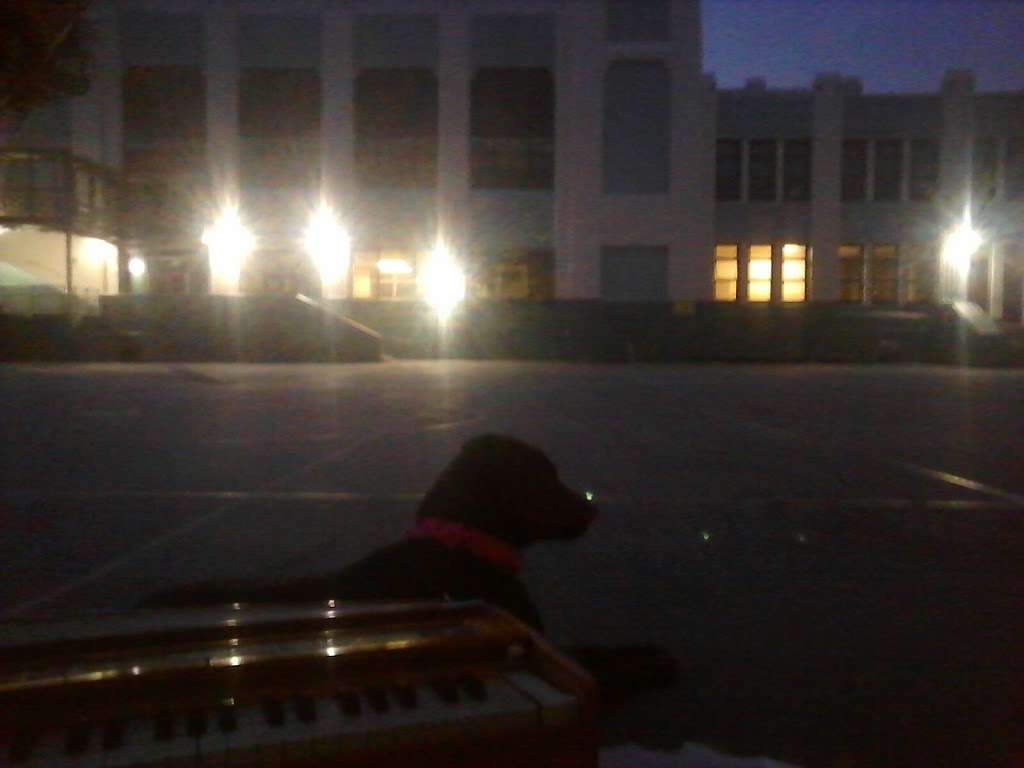 James Lick Arena | 300 Clipper St, San Francisco, CA 94114, USA