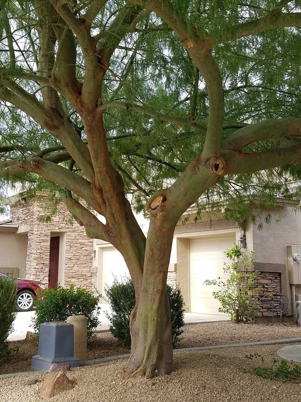 Cooper Greens Park | 1850 E Locust Pl, Chandler, AZ 85286, USA