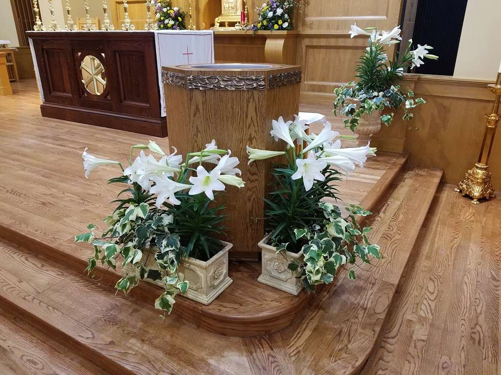 St. Elizabeth Ann Seton Catholic Church | 6646 Addicks Satsuma Rd, Houston, TX 77084, USA | Phone: (281) 463-7878