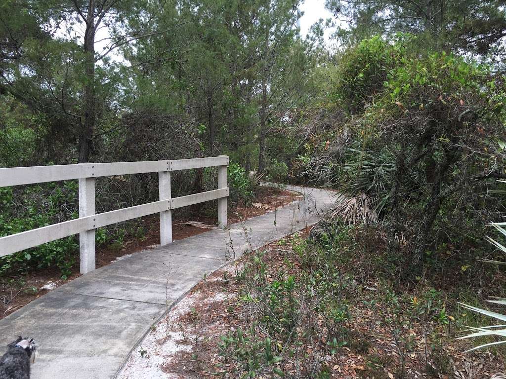 Crystal Lakes Sand Pine Scrub | 3299 NE 3rd Ave, Pompano Beach, FL 33064, USA | Phone: (954) 357-5100