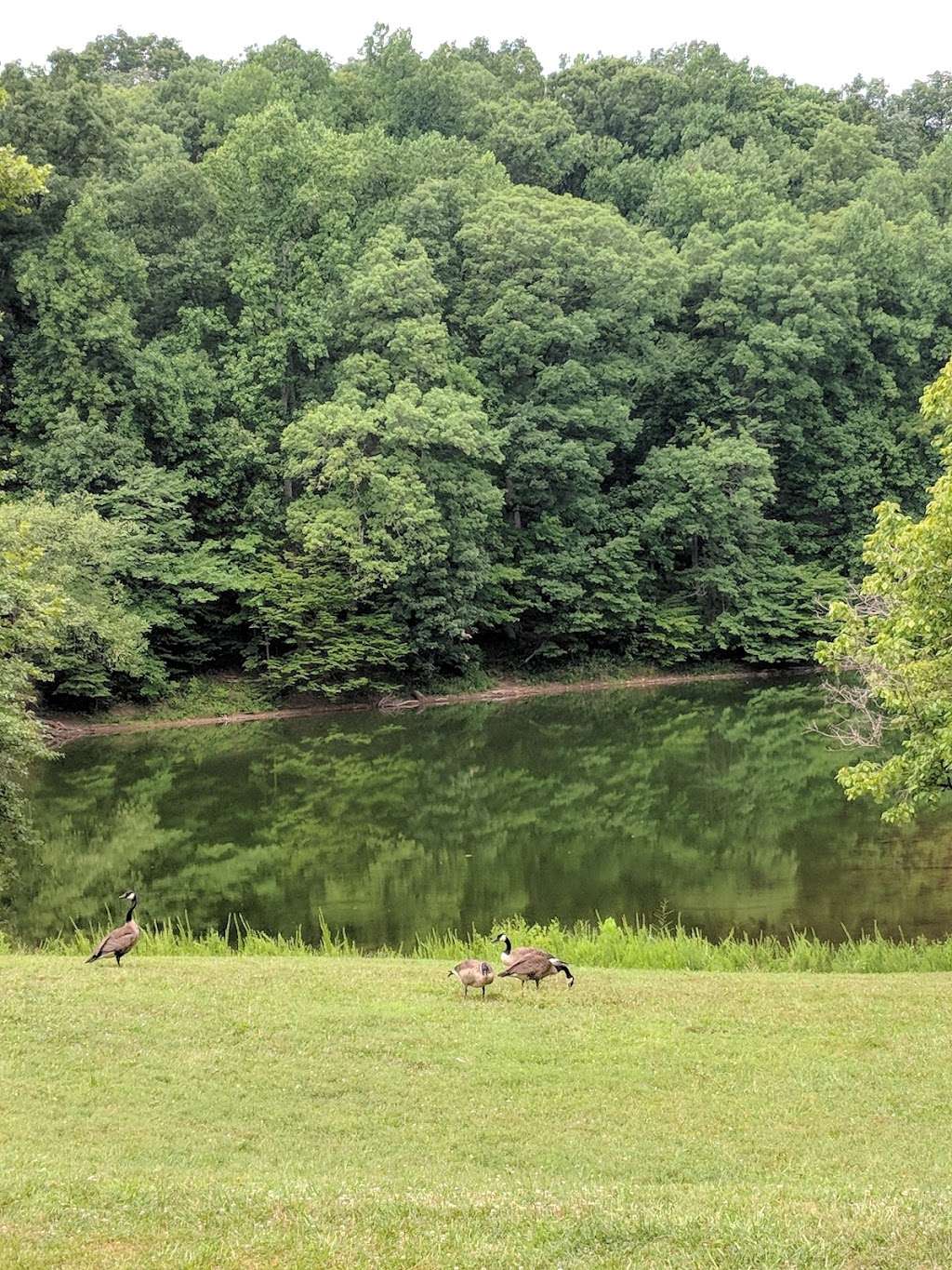 Needwood hiker-biker trail | Derwood, MD 20855, USA