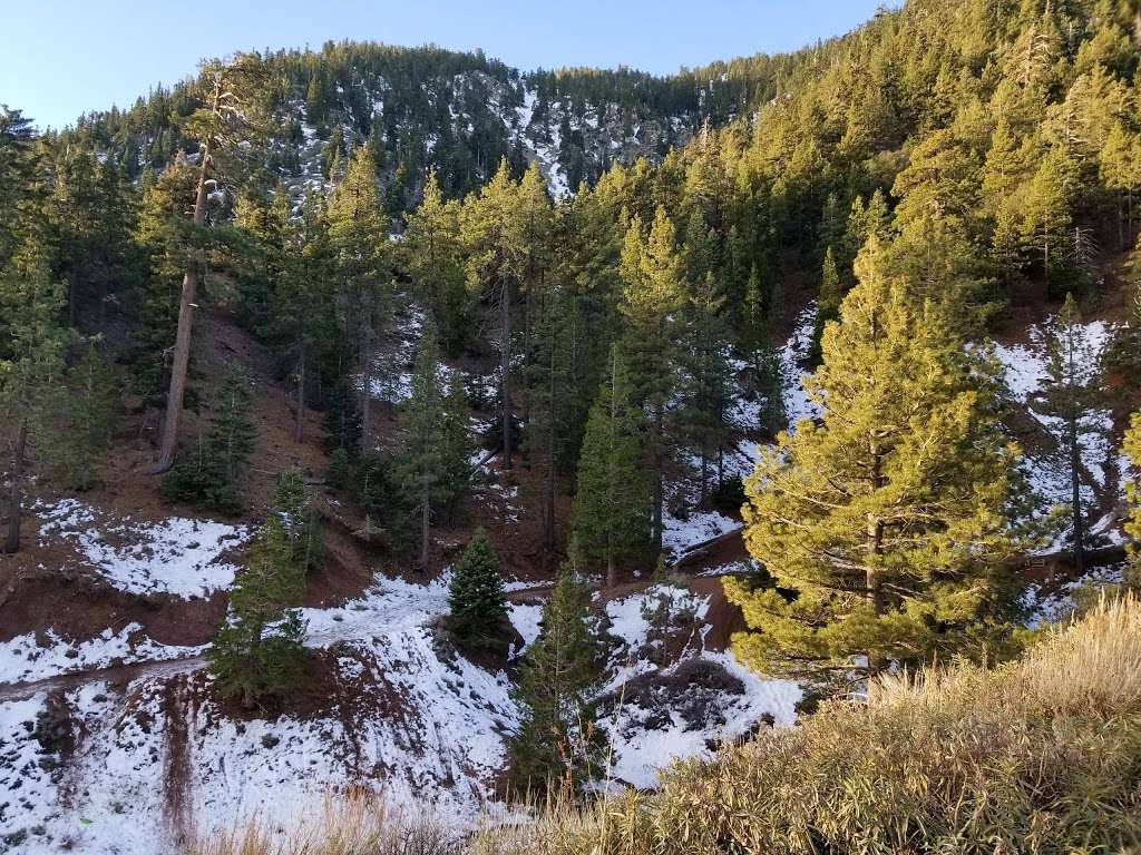 Vincent Gulch Divide | Pacific Crest Trail, Azusa, CA 91702, USA